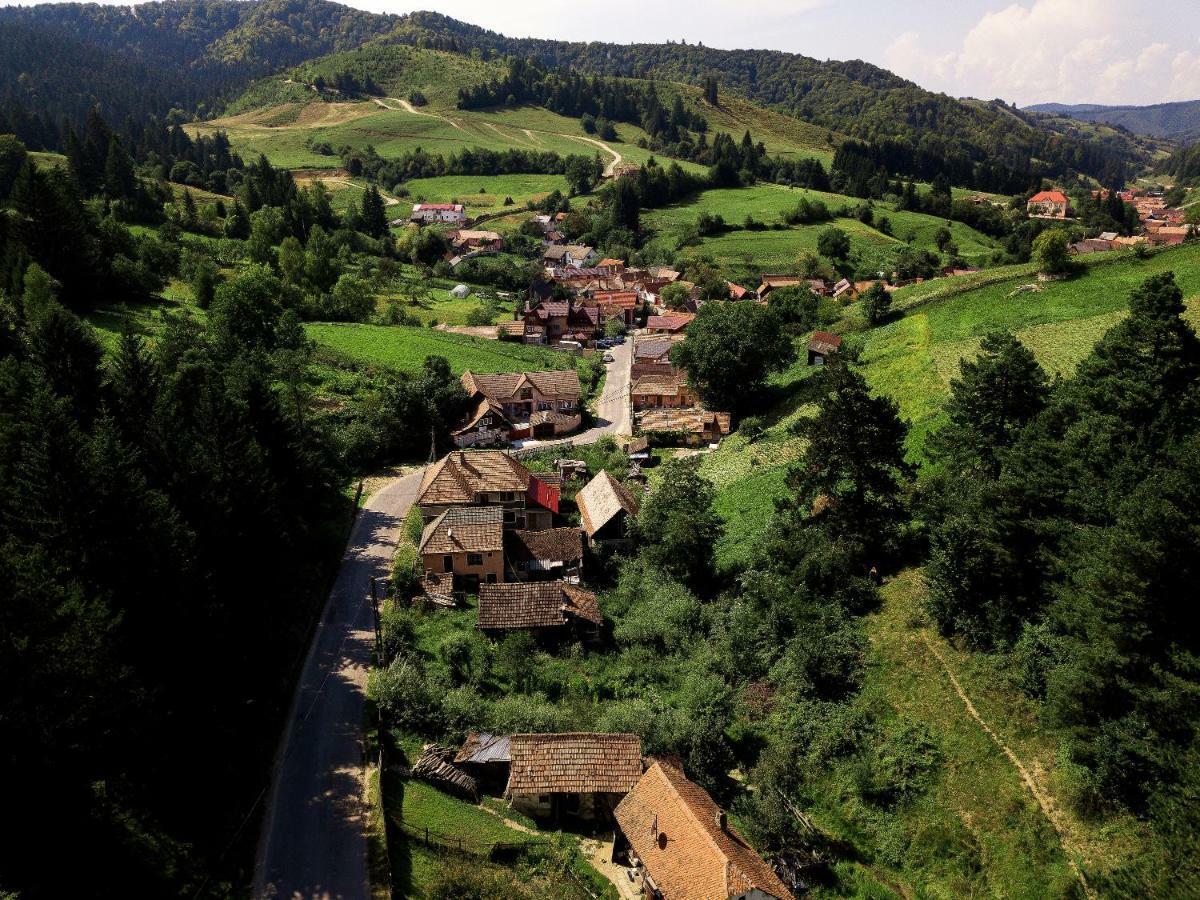 House Of Seasons Villa Bran  Buitenkant foto